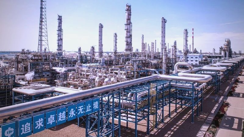高分子材料加工工艺流程培训：从基础到实践**
